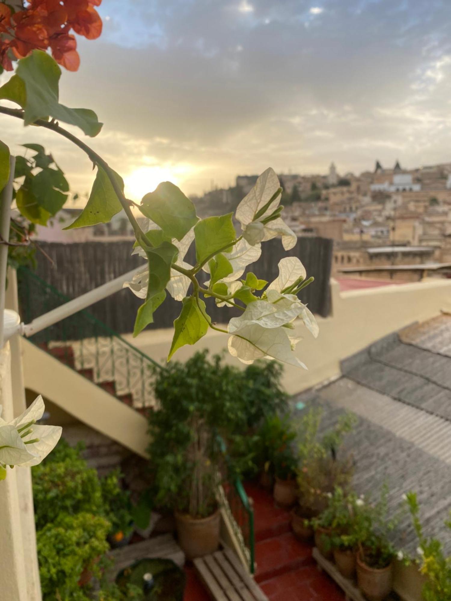 Riad Taj Salma Fez Eksteriør billede